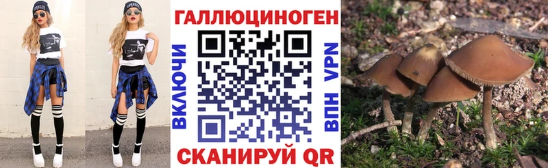 ОМГ ОМГ ССЫЛКА Геленджик Галлюциногенные грибы мухоморы